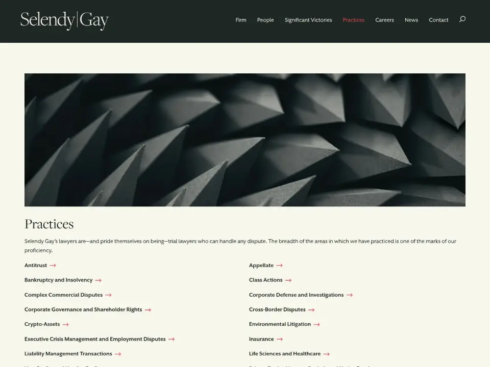 Selendy Gay — Services