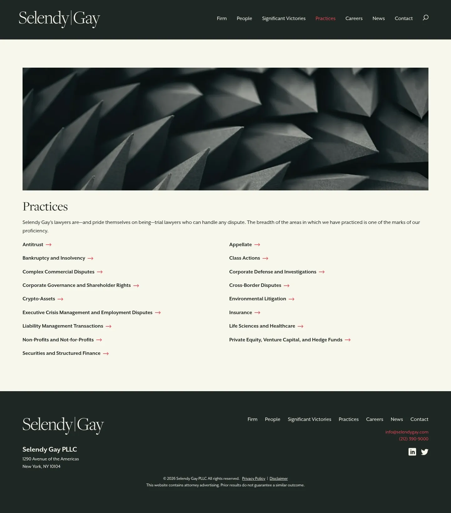 Screenshot of Selendy Gay at desktop width