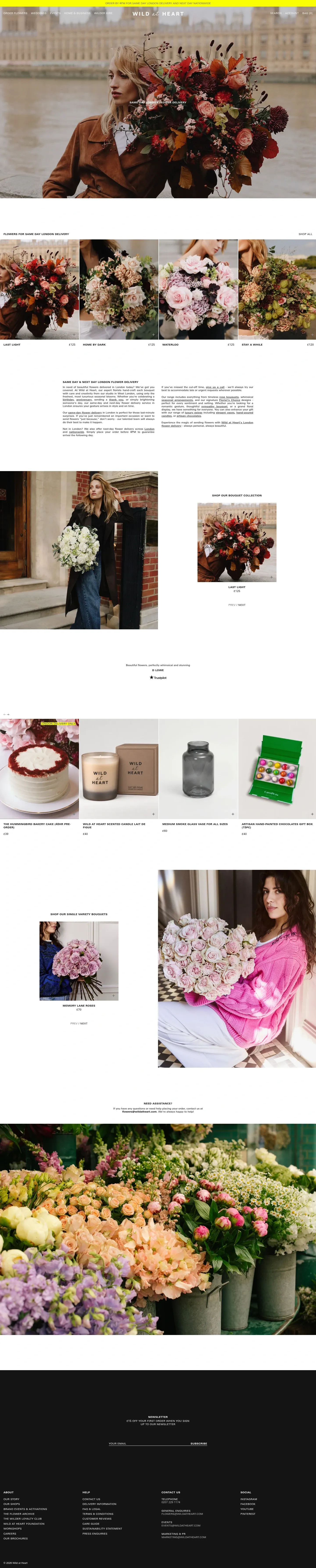 Screenshot of Wild at Heart at desktop width