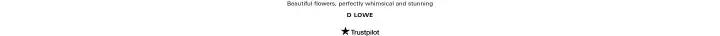 Reviews on Wild at Heart