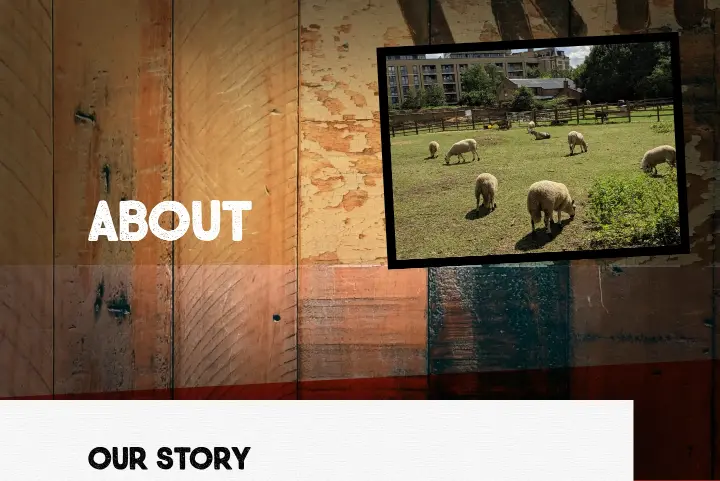 About on Hackney City Farm